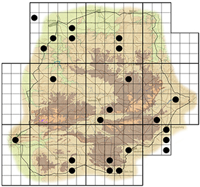 Stephenia axina Waterberg distribution